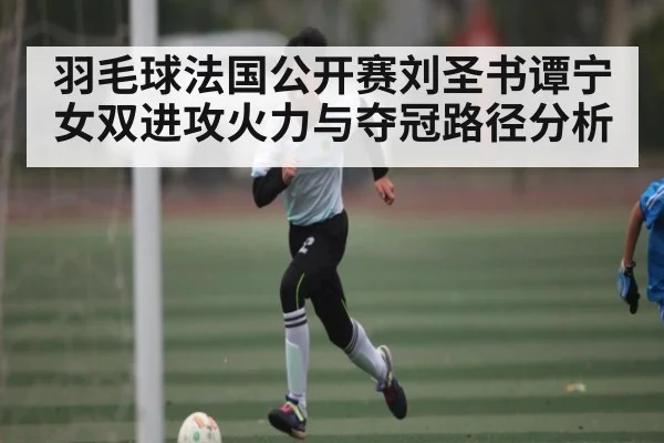 羽毛球法国公开赛刘圣书谭宁女双进攻火力与夺冠路径分析